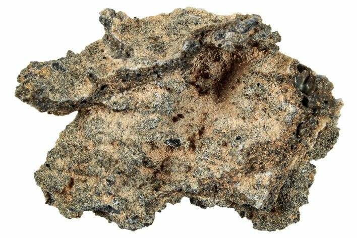 2-0-fulgurite-petrified-lightning-260458-for-sale-fossilera